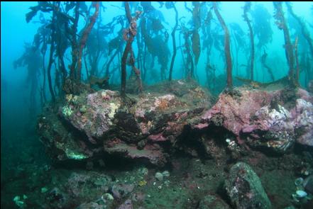 rock formations