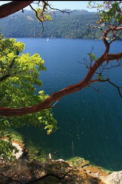 looking down from above point