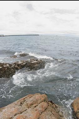 LOOKING ACROSS HARBOUR TO OGDEN POINT