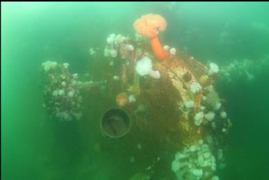  fallen-over roof of wheelhouse