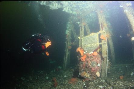 under the plane