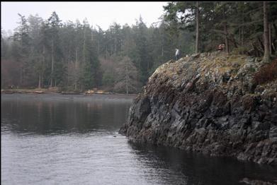 viewpoint above cove