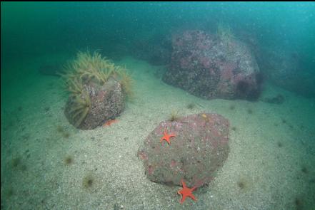 boulders out from the base of the wall