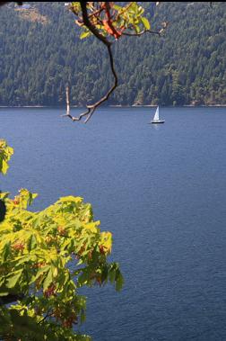 looking across Inlet