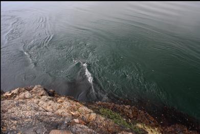 current flowing past rock