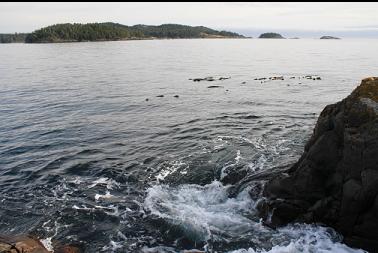 looking across Becher Bay