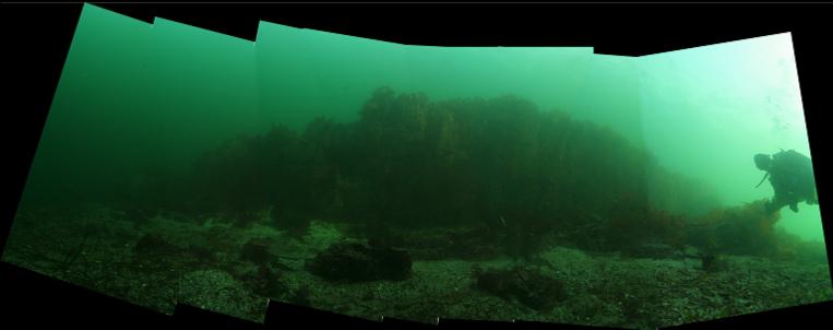 shallow reef panorama