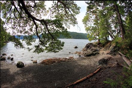 the beach