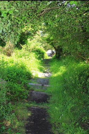 steps down to the beach