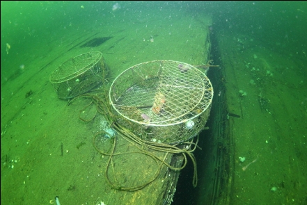 crab traps and gap between drydocks