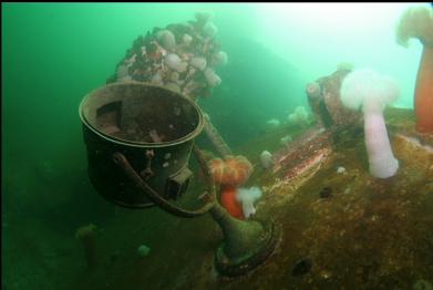 stuff on  fallen-over roof of wheelhouse