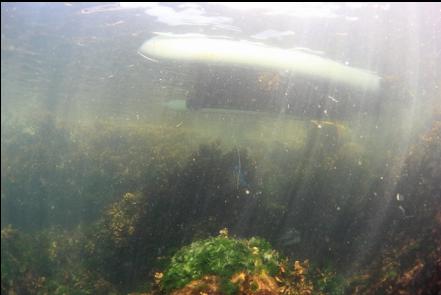 under the anchored boat