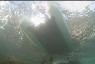 under boat