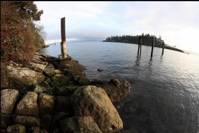 looking across to Jesse Island