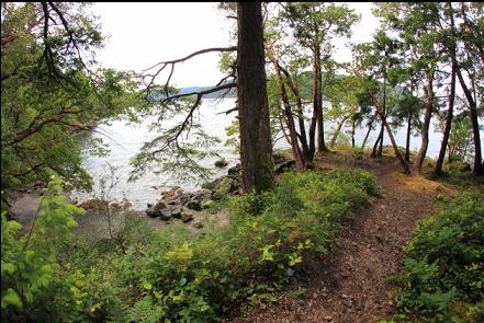 trail to the beach