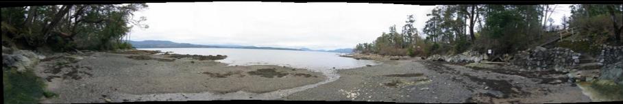 WEIRD PANORAMA OF BEACH