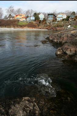 reefs by East point