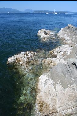 shoreline on Reay Island