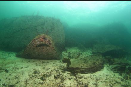 at the base of the shallow rocky slope 20 feet deep