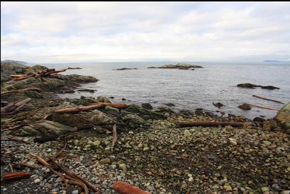 beach with exposed rocks in distance