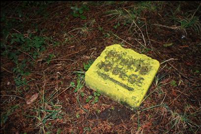 yellow public access marker