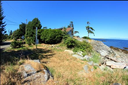 path to the beach