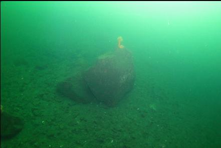 boulders in the channel near the boat