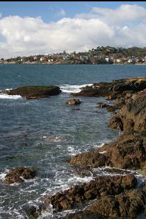 SHORELINE AT POINT