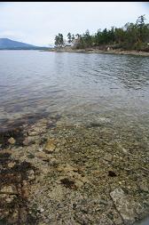 REPETITIVE PICTURES OF BEACH