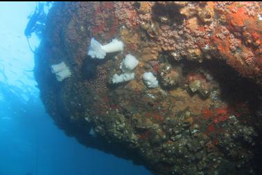 under overhang near boat