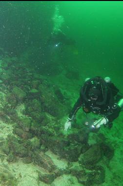 swimming to wall