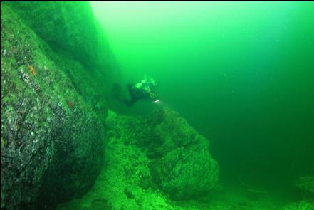 near the base of the wall