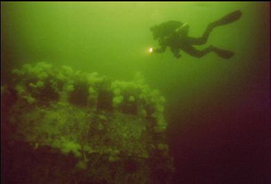 DIVER BY BRIDGE