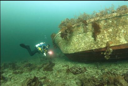 massive wreck